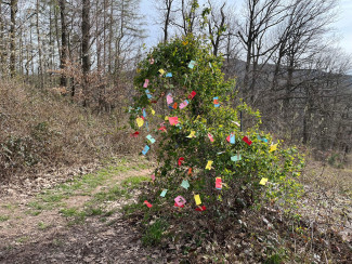 Im Apostelgarten