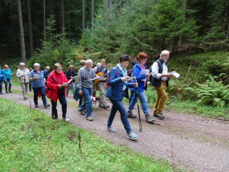 Der Weg des Glaubens